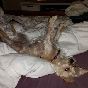 Fundraising Page: Elba Morales